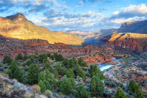 Tonto National Forest